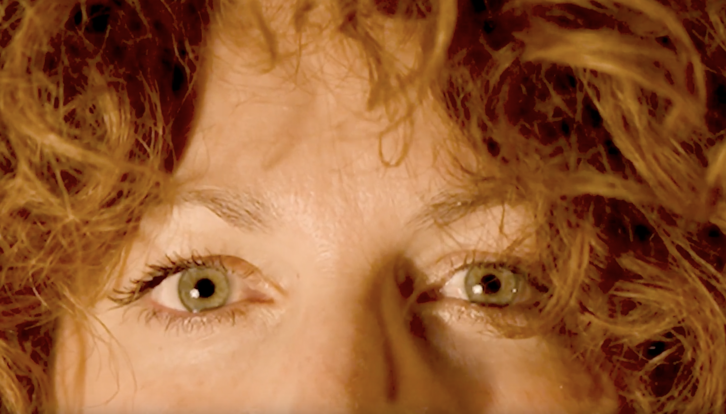 Een mooie toevoeging aan de tentoonstelling: een korte film